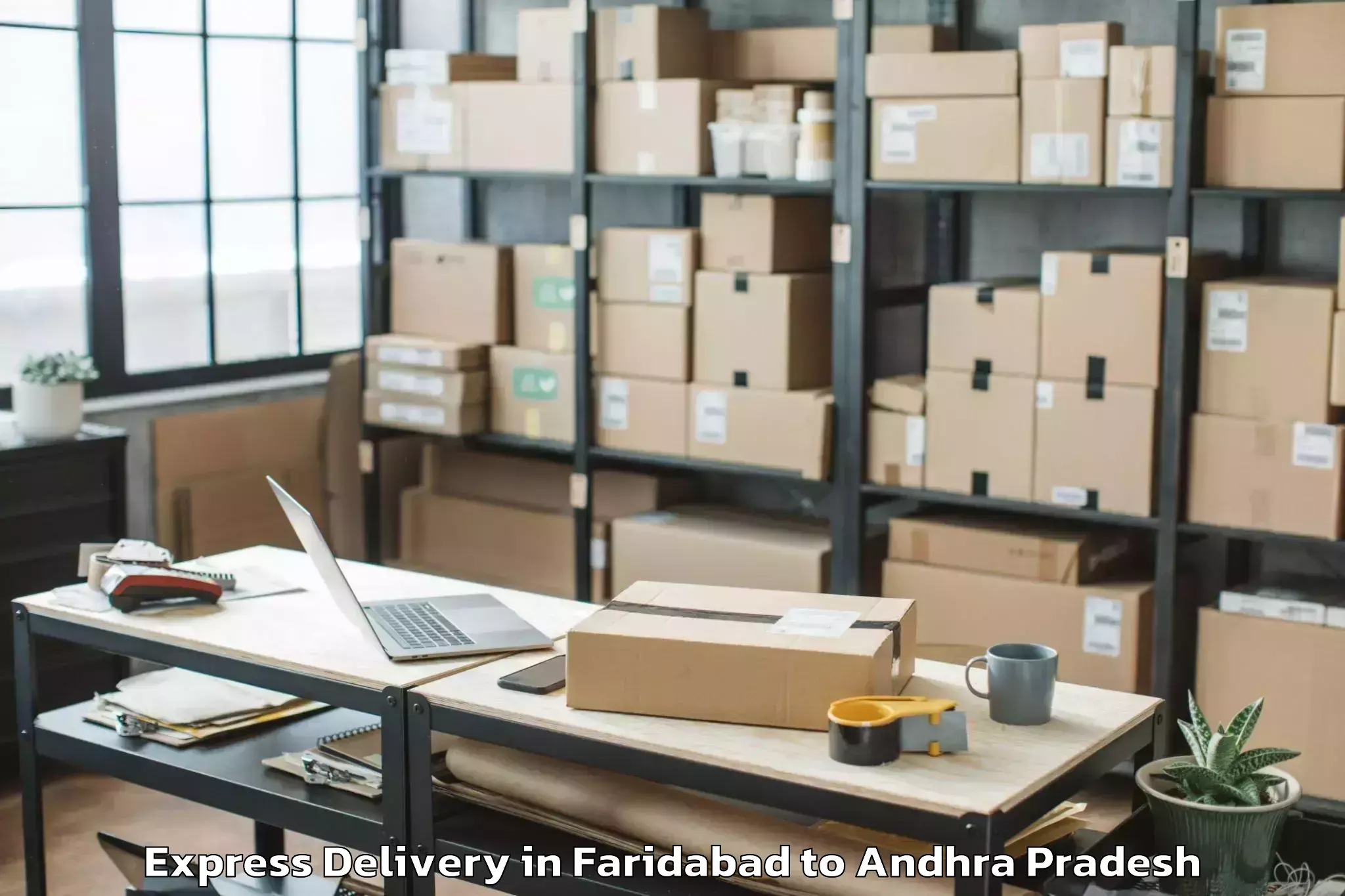 Professional Faridabad to Rentachintala Express Delivery